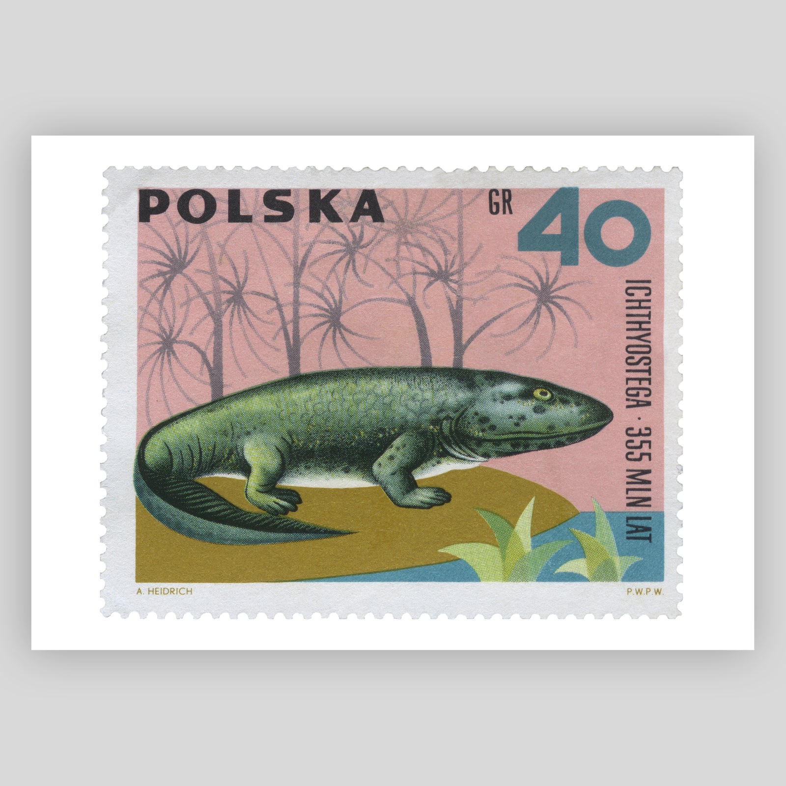 Poland Ichthyostega Fine Art Print