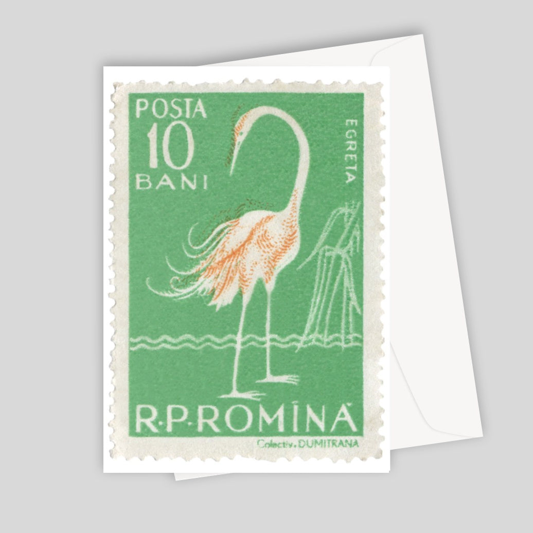 Romania Egret Greeting Card