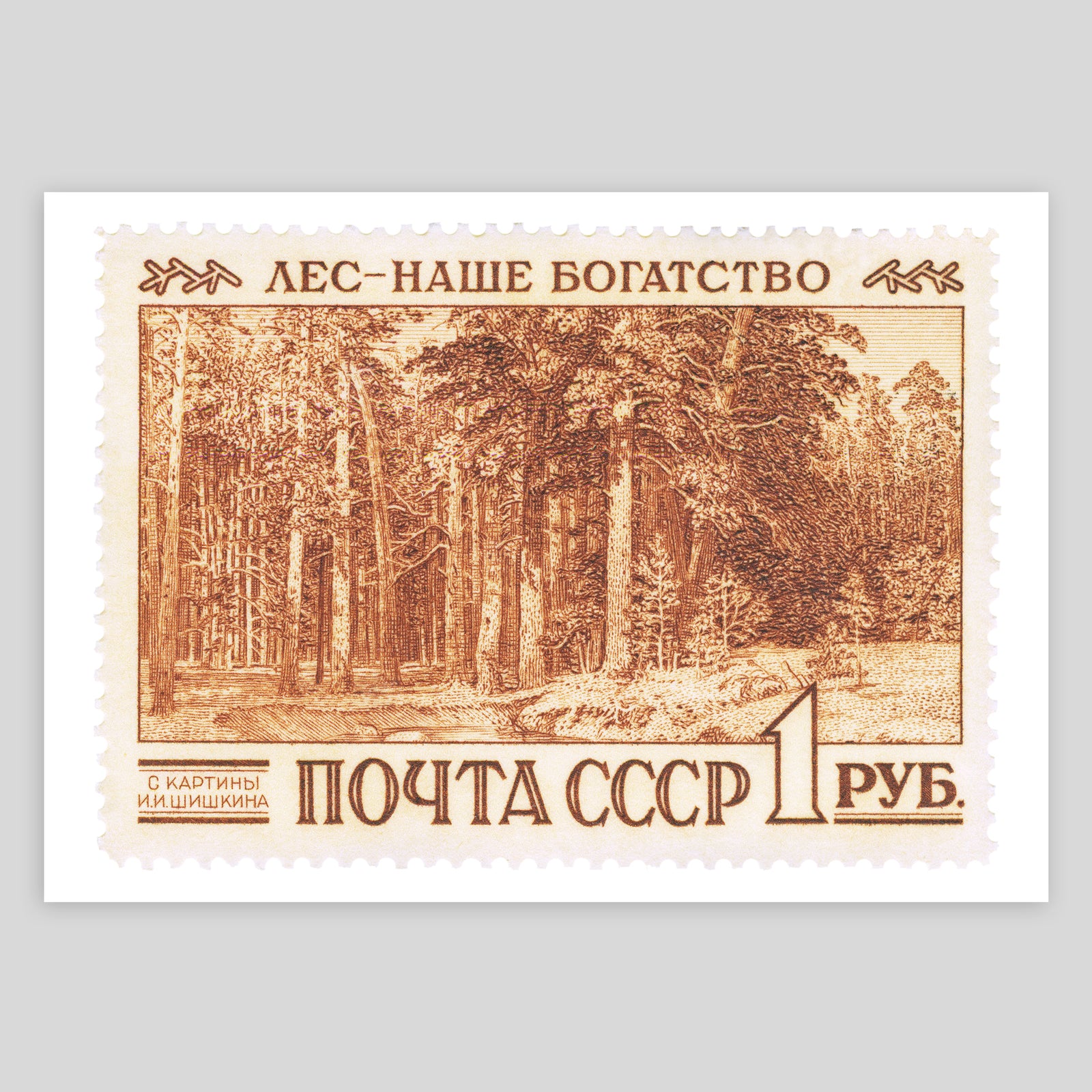USSR Forest Fine Art Print