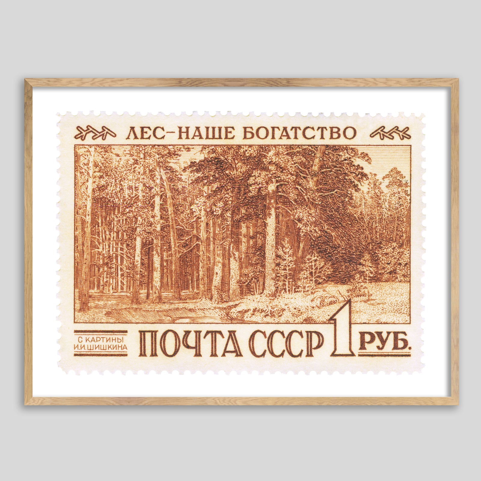 USSR Forest Framed Print