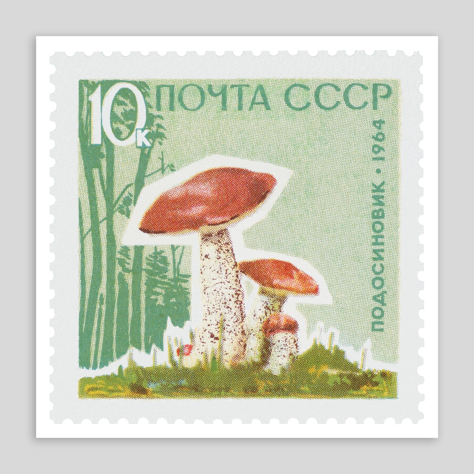 USSR Mushroom Fine Art Print