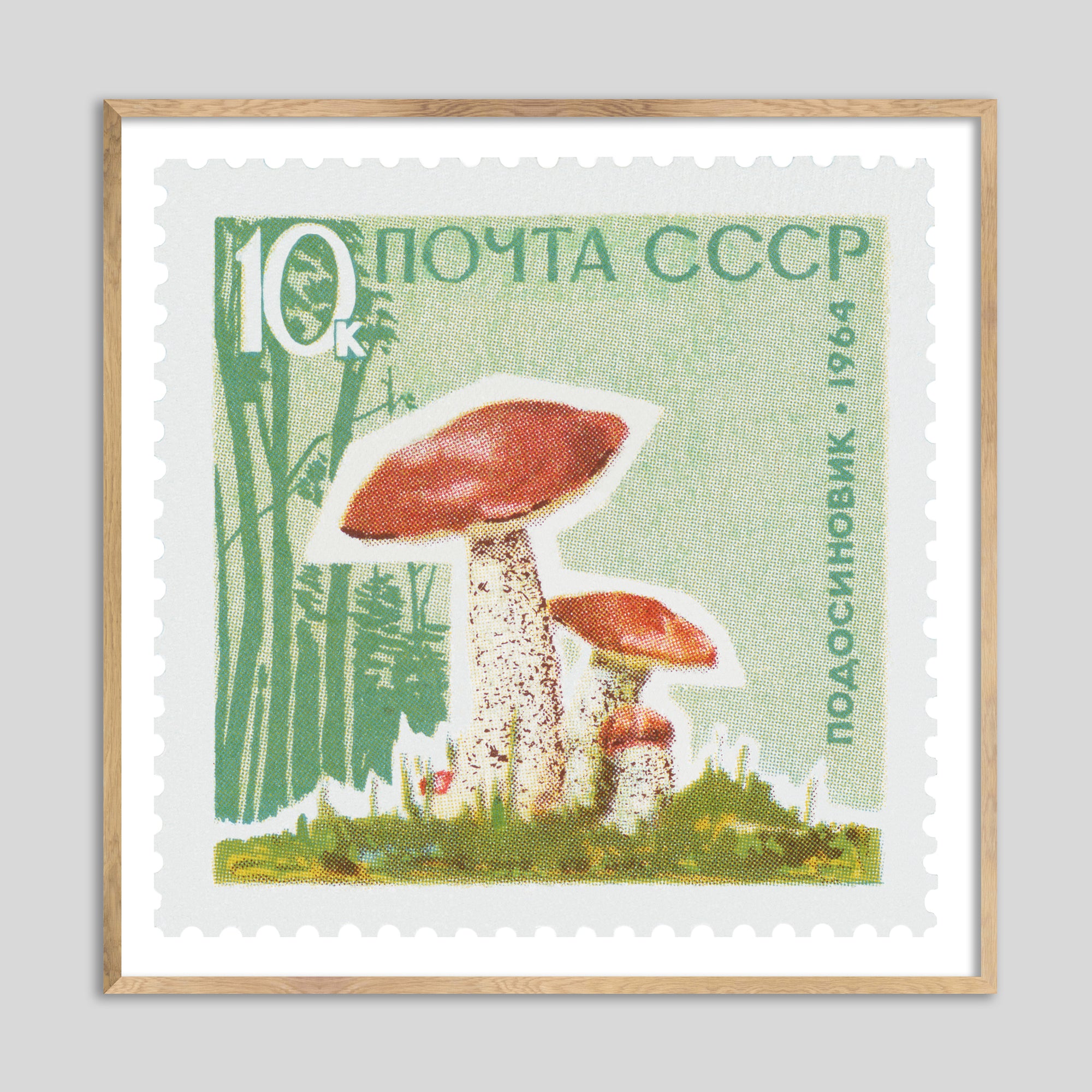 USSR Mushroom Framed Print