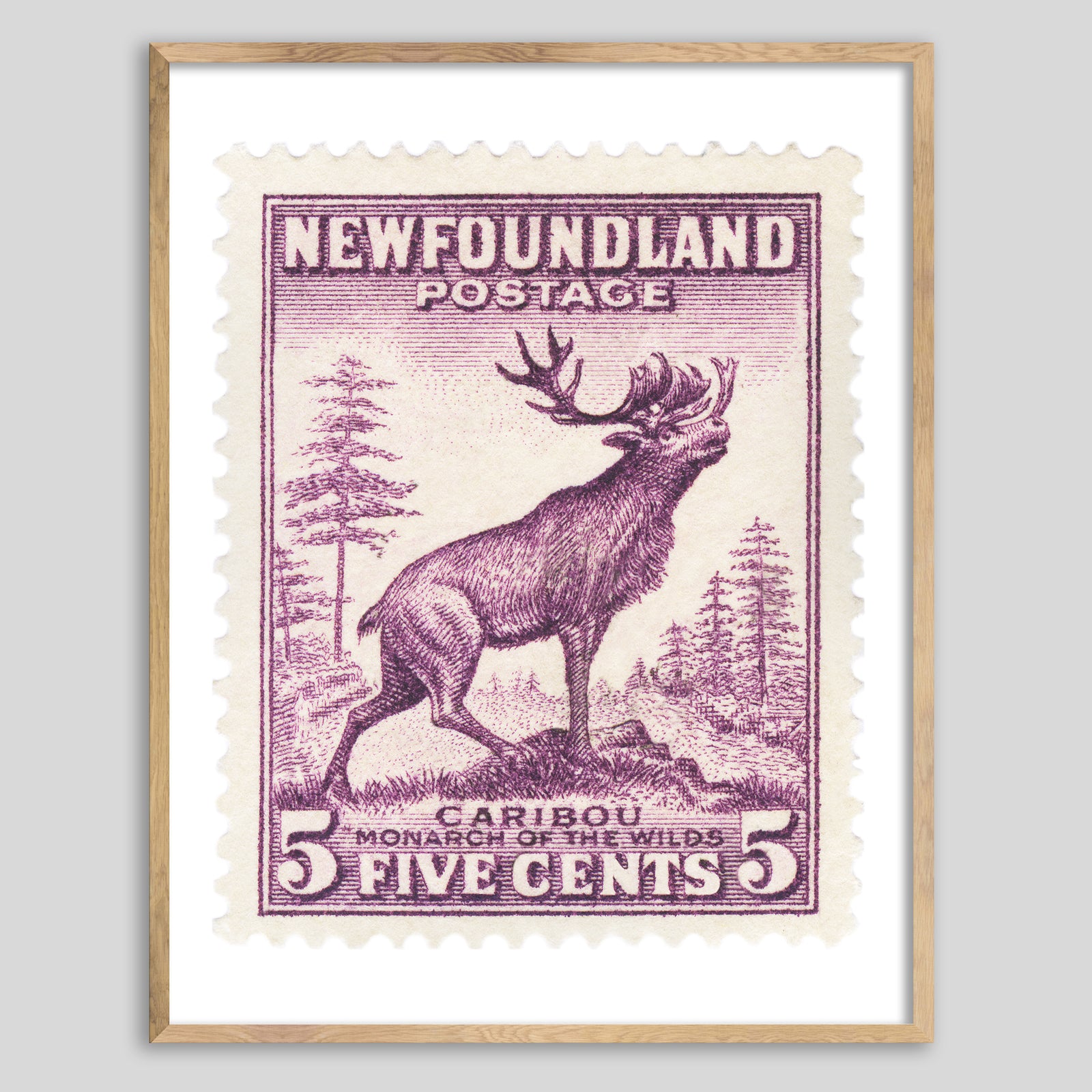 Newfoundland Caribou Framed Print