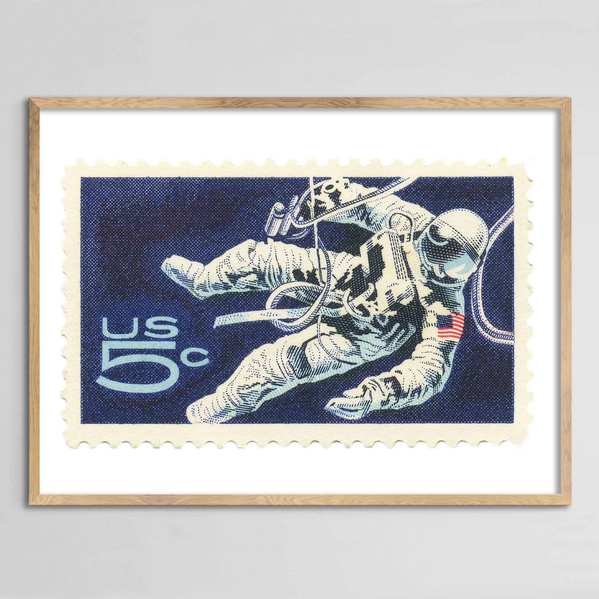 USA Space Walk Framed Print