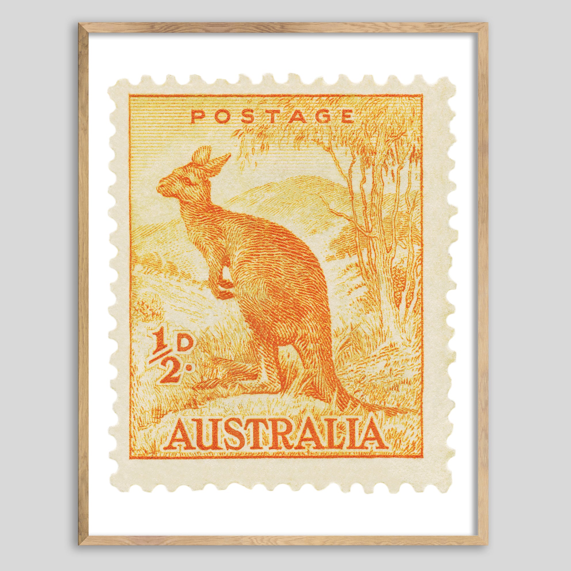 Australia Kangaroo Framed Print