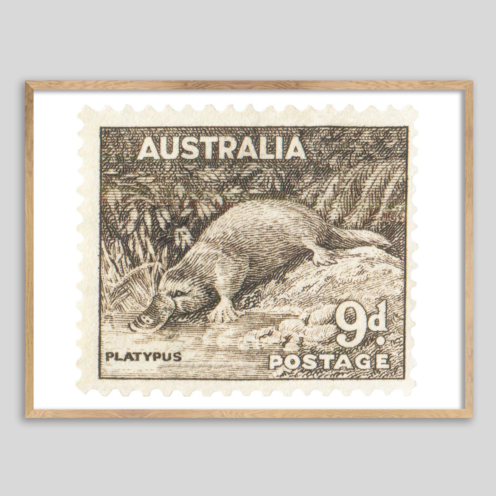Australia Platypus Framed Print