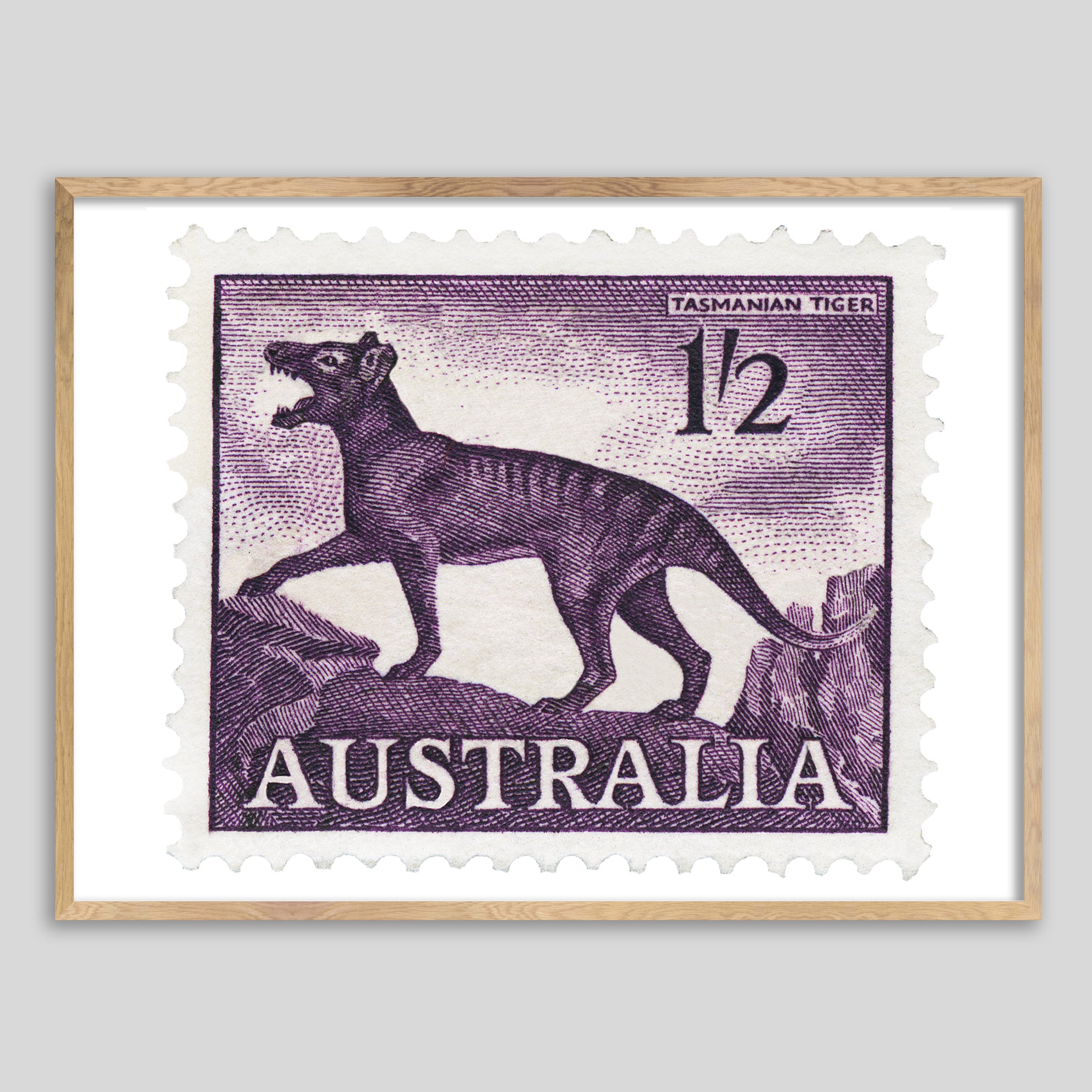 Australia Tasmanian Tiger Framed Print