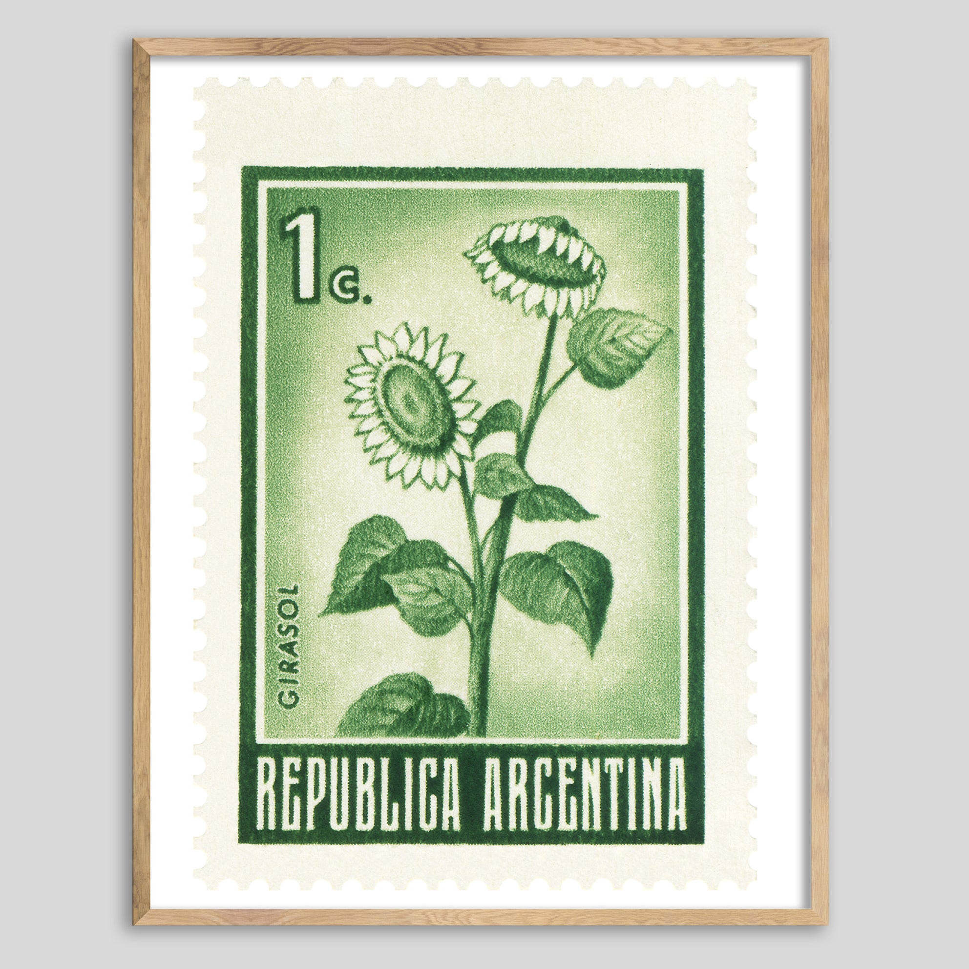 Argentina Sunflowers Framed Print