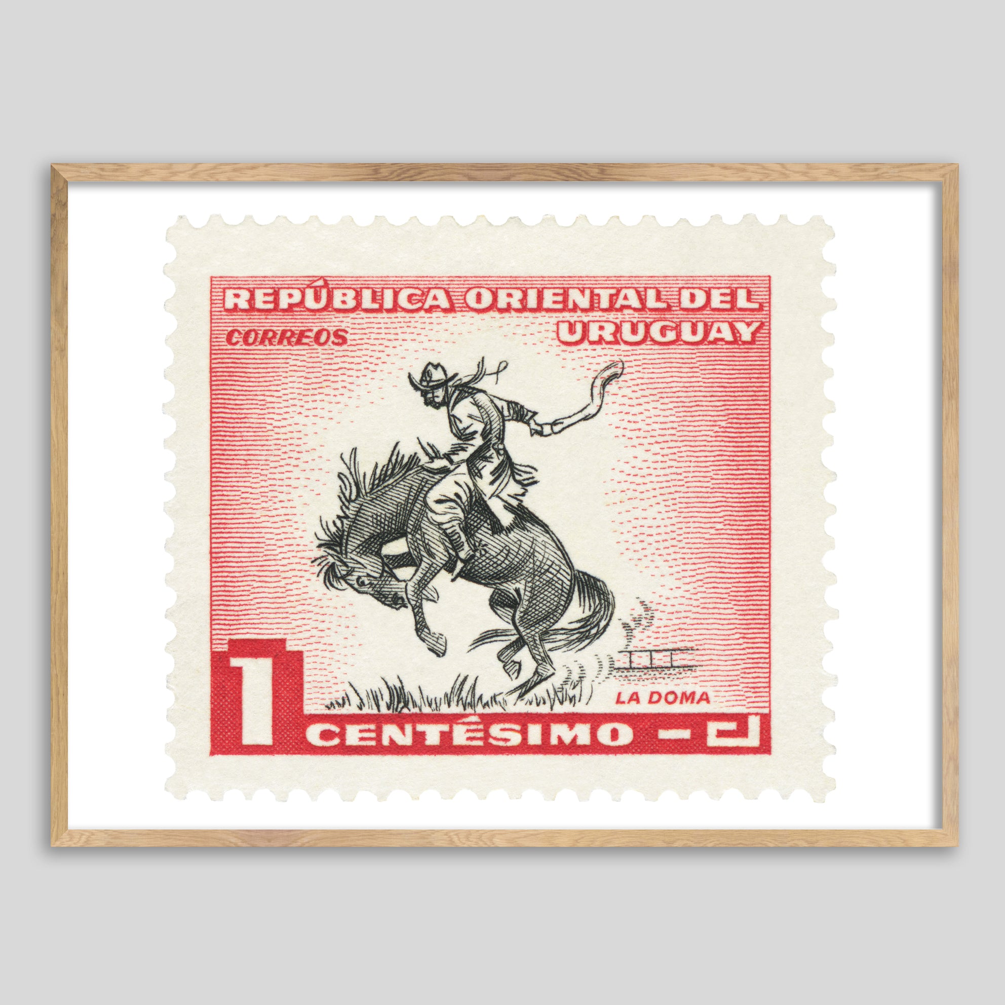 Uruguay Cowboy Framed Print