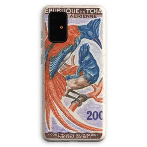 Tchad Tchitrea Viridis Bird Eco Phone Case