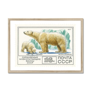 USSR Polar Bears Framed Print