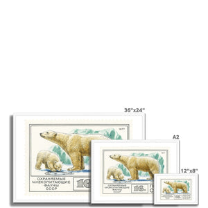 USSR Polar Bears Framed Print