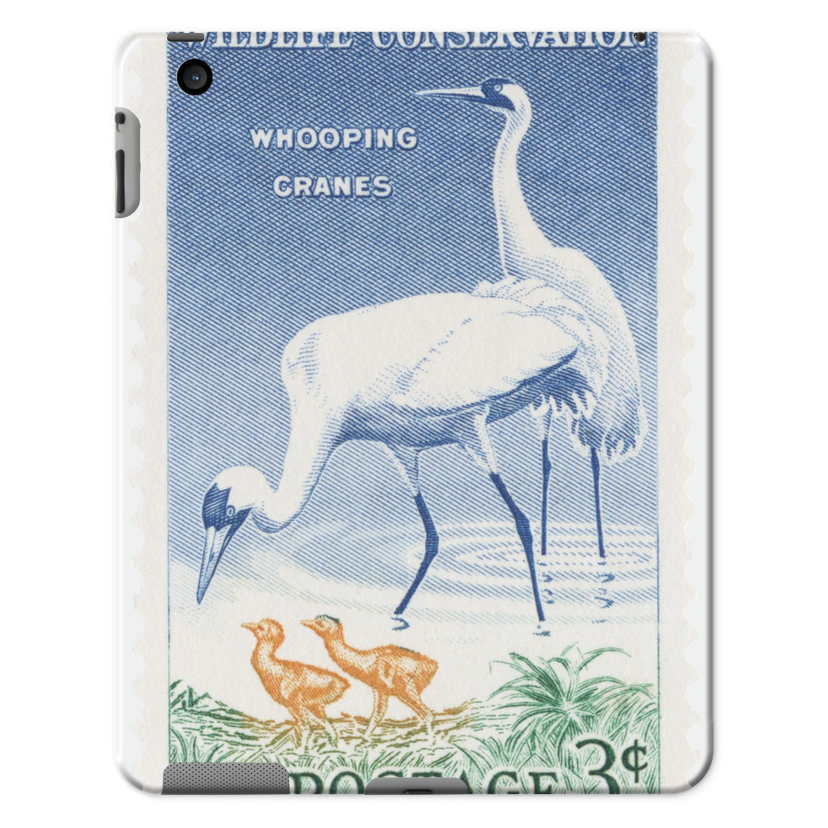 USA Whooping Cranes Tablet Cases