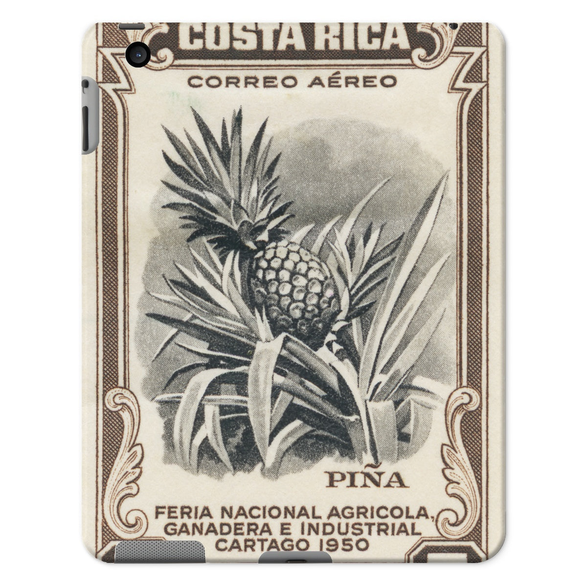 Costa Rica Pineapple Tablet Cases