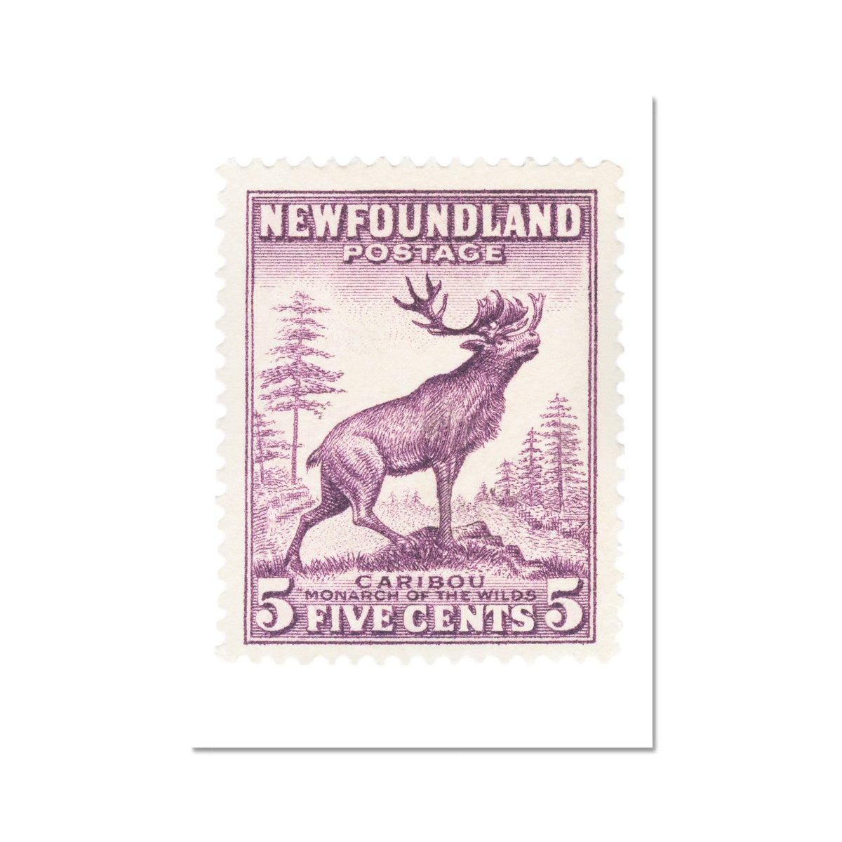 Newfoundland Caribou Fine Art Print